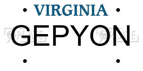 GEPYON Virginia License Plate