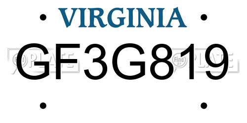 GF3G819 Virginia License Plate