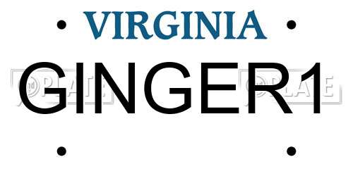 GINGER1 Virginia License Plate
