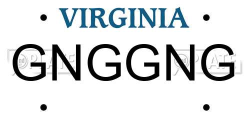 GNGGNG Virginia License Plate