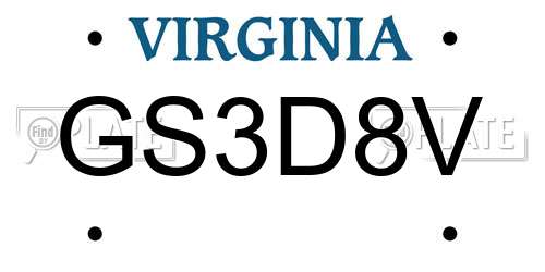 GS3D8V Virginia License Plate