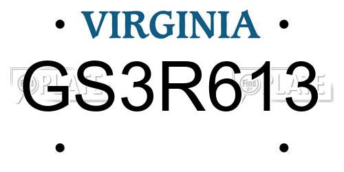 GS3R613 Virginia License Plate