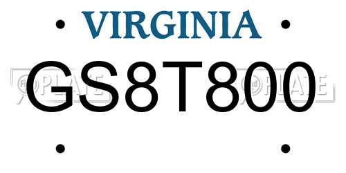 GS8T800 Virginia License Plate