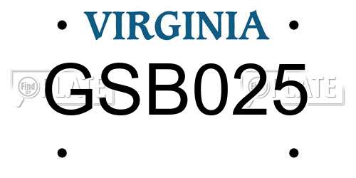 GSB025 Virginia License Plate