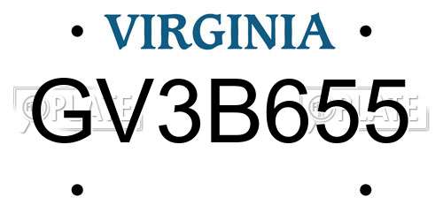 GV3B655 Virginia License Plate