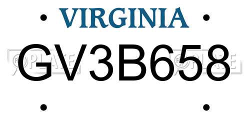 GV3B658 Virginia License Plate
