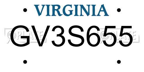 GV3S655 Virginia License Plate