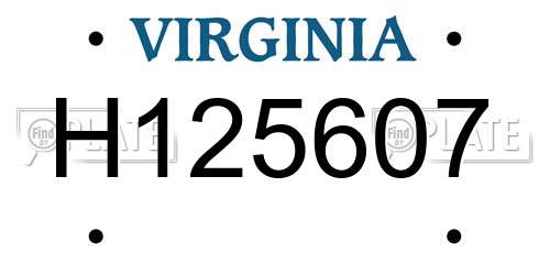 H125607 Virginia License Plate