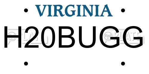 H20BUGG Virginia License Plate