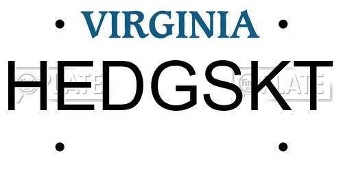 HEDGSKT Virginia License Plate
