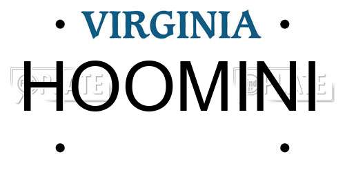 HOOMINI Virginia License Plate