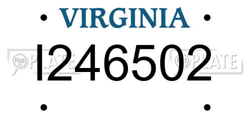 I246502 Virginia License Plate