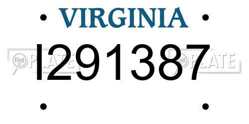 I291387 Virginia License Plate