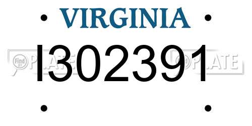 I302391 Virginia License Plate