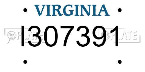 I307391 Virginia License Plate