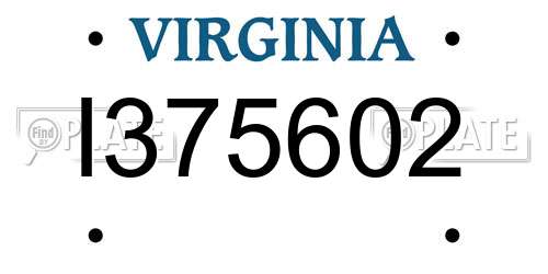 I375602 Virginia License Plate