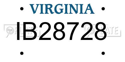 IB28728 Virginia License Plate