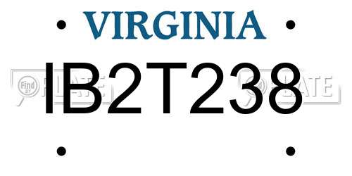 IB2T238 Virginia License Plate