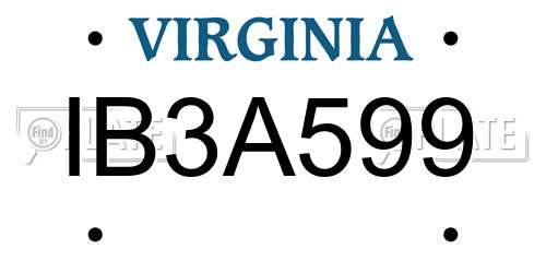 IB3A599 Virginia License Plate