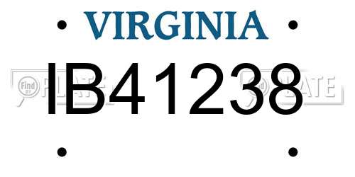 IB41238 Virginia License Plate