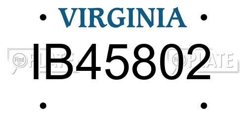 IB45802 Virginia License Plate