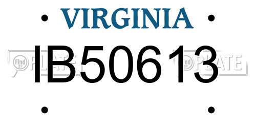 IB50613 Virginia License Plate