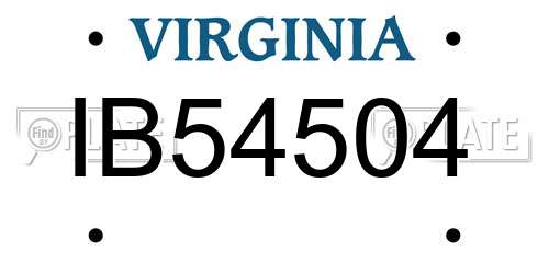 IB54504 Virginia License Plate