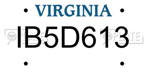IB5D613 Virginia License Plate