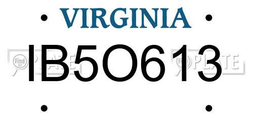 IB5O613 Virginia License Plate