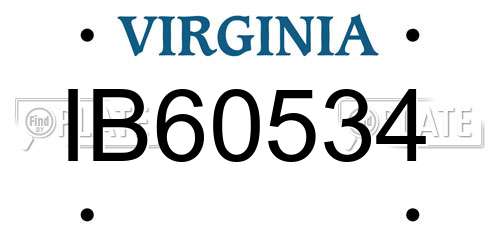 IB60534 Virginia License Plate