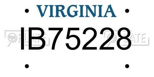 IB75228 Virginia License Plate
