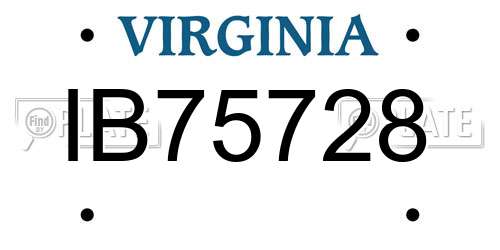 IB75728 Virginia License Plate