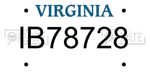 IB78728 Virginia License Plate