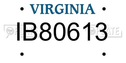 IB80613 Virginia License Plate