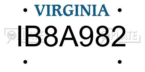 IB8A982 Virginia License Plate