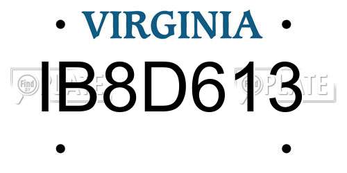 IB8D613 Virginia License Plate