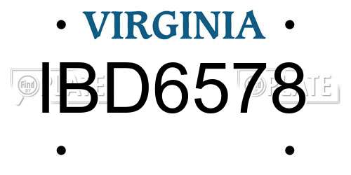 IBD6578 Virginia License Plate