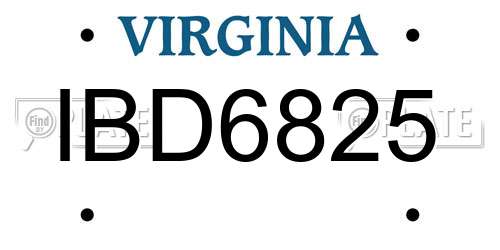 IBD6825 Virginia License Plate