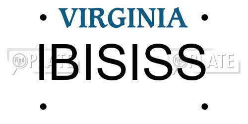 IBISISS Virginia License Plate