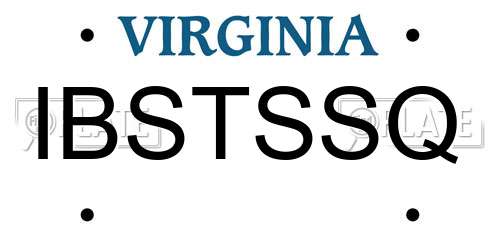 IBSTSSQ Virginia License Plate