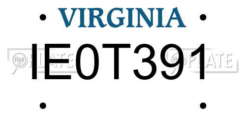IE0T391 Virginia License Plate