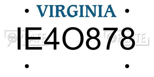IE4O878 Virginia License Plate