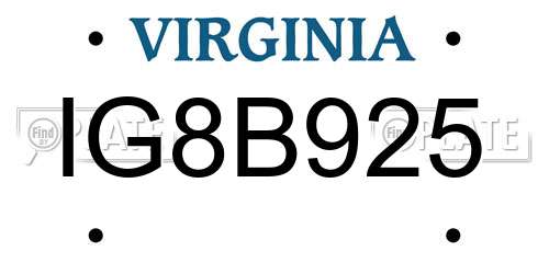 IG8B925 Virginia License Plate