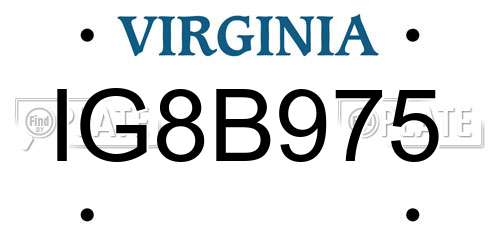 IG8B975 Virginia License Plate