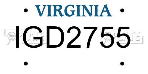 IGD2755 Virginia License Plate
