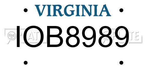 IOB8989 Virginia License Plate