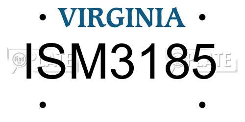 ISM3185 Virginia License Plate