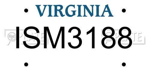 ISM3188 Virginia License Plate