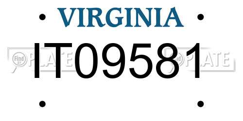 IT09581 Virginia License Plate