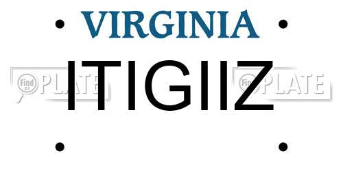 ITIGIIZ Virginia License Plate
